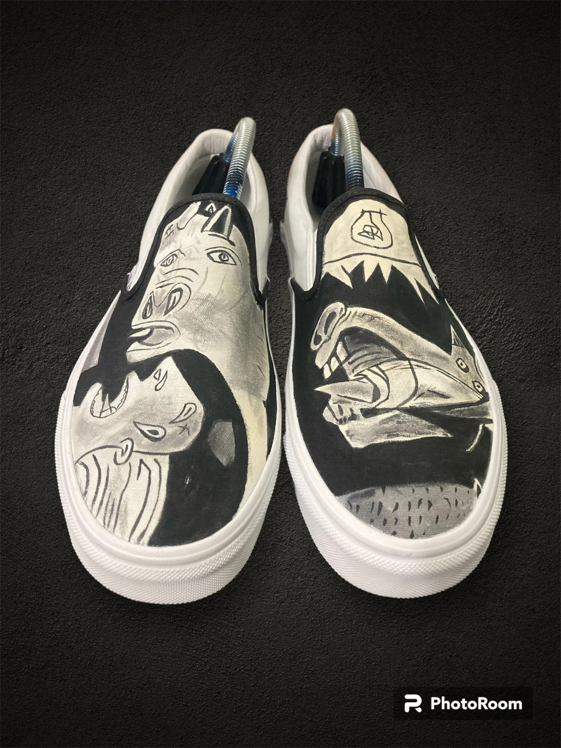 Picasso Vans